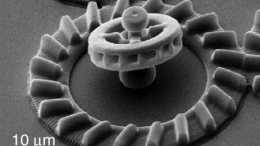 好神奇！新研究發現細菌鞭毛上有個發動機狀“馬達”，每秒能轉2400圈