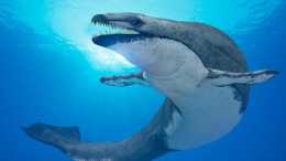 森然巨獸: 古鯨豚逼死20米、80噸巨齒鯊, 鯨豚家族如何制霸海洋?