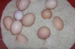 雞蛋買多了，別放冰箱儲存，教你4個土方法，保鮮3個月，很管用！