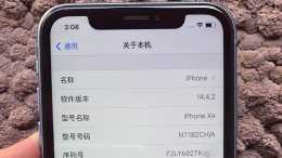 “國行”iPhoneXR只要1700元，“水改行”iPhone為何如此便宜？