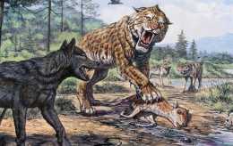 它是大型犬科動物，敢跟美洲獅搶食，滅絕原因成謎