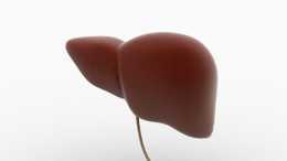 養肝“狀元”被發現，不是綠豆，若你愛吃，還你“嬰兒肝”