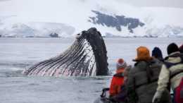 南極深處真的存在巨大的生物嗎? 世界的盡頭到底是什麼樣子?