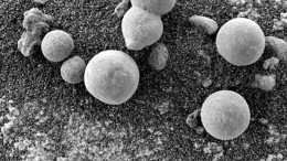 火星有生命? 祝融號傳回真實畫面, 岩石上有像“黴菌”的東西?
