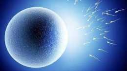 輸卵管不孕做試管嬰兒手術過程中, 常見的六個問題及解析!