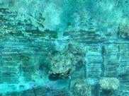800年前的西沙沉船被發現, 木頭都沒爛, 青花瓷撈出來都是新的