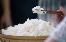 中國人都離不開大米，但老外為啥不吃米飯？看完立馬就懂！