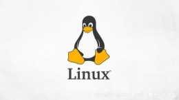 Linux新手入門系列: Linux系統基礎命令