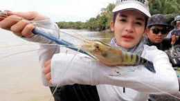 湄公河大蝦“成精”，長達1米，當地人請求中國吃貨幫助遭拒絕？