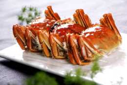 蘇州經典蟹菜介紹，享受大閘蟹和禿黃油的美味