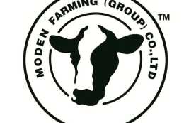 現代牧業82.3%的原奶交給蒙牛，“後方基地”優勢漸顯