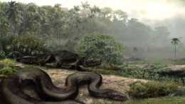 5800萬年前, 地球的一次“極熱”事件, 催生出體型最大的蛇