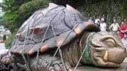 1965年黃河巨龜事件：神秘巨龜為何離奇消失？當事人說出真相