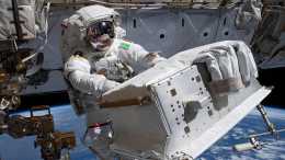 國際空間站的“外星生命”？宇航員從太空帶回了3種未知生物