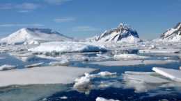南極冰川解凍，3米巨蟲現世“吞噬”海豹，它什麼來頭？