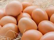用土方法醃雞蛋，不僅鹹香入味，蛋黃各個流油起沙，做飯簡單易學