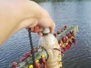 男子用塑膠瓶在河裡釣魚遭人嘲笑，看到收穫後大家都閉了嘴