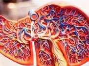 肝臟出現問題的時候，我們的身體怎麼傳達資訊？今天告訴各位答案