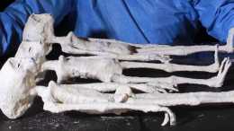 科學家在秘魯發現3具木乃伊, 面板似蜥蜴, 手指有3根, 體內有3顆蛋