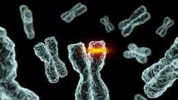 科學家透過基因科學揭開：人類起源背後的秘密，結果或顛覆認知