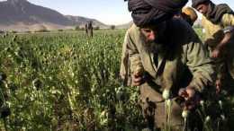 土地貧瘠的阿富汗，靠什麼養活近4000萬人口？