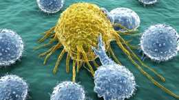 癌症發病機制再更新! 同日兩篇《科學》揭示免疫系統與癌症新關聯
