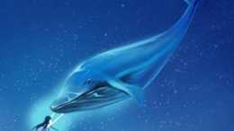 鯨落! 中國南海唯一的一次, 大自然的神奇, 遠超我們的想象