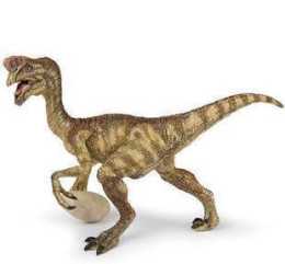 科學家們在研究恐龍蛋的時候，發現了一件非常“特別的事”