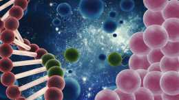 幹細胞四大作用機制，為治療Ⅰ型和Ⅱ型糖尿病帶來新途徑