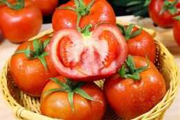 西紅柿專挑紅的就錯了！教你4招，挑選的西紅柿新鮮肉厚，沙又甜