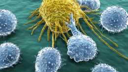 癌症發病機制再更新！同日兩篇《科學》揭示免疫系統與癌症新關聯