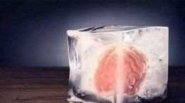 若在人體死亡後, 將大腦放在營養液中, 能否使人活在虛擬世界中?