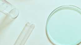 試管嬰兒凍胚和鮮胚哪個成功率高? 冷凍胚胎髮育會受到影響嗎？