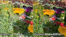 小米11Ultra和華為Mate40Pro+實拍對比：3鏡頭和5鏡頭差距明顯